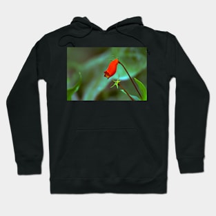 red flower in the garden Hoodie